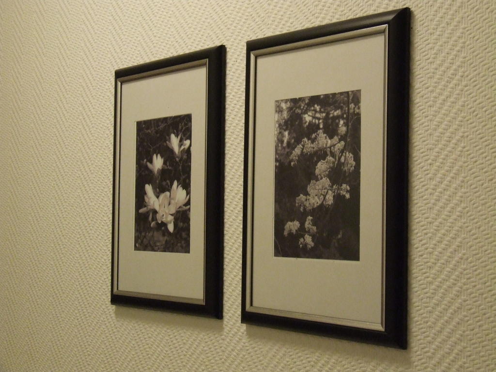 Residenz Hotel Eurostar Düsseldorf Eksteriør bilde